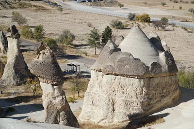 Paşabağları