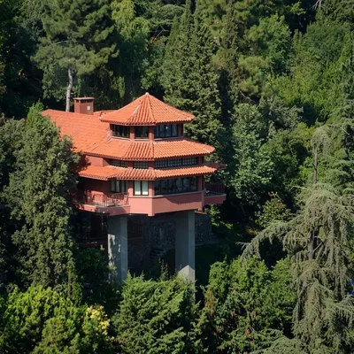 Taut Evi