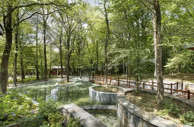 İstanbul Fatih Ormanı Tabiat Parkı